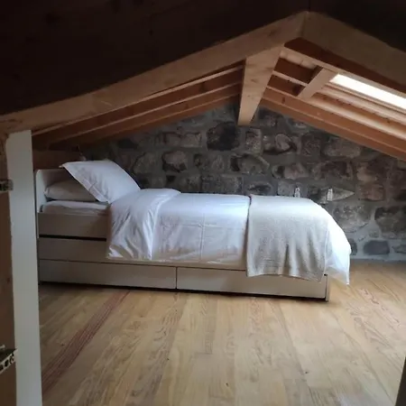 Casa Cancelas, 2 Quartos, Rodeada De Natureza, *